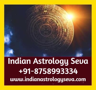 Famous Indian Astrologer i